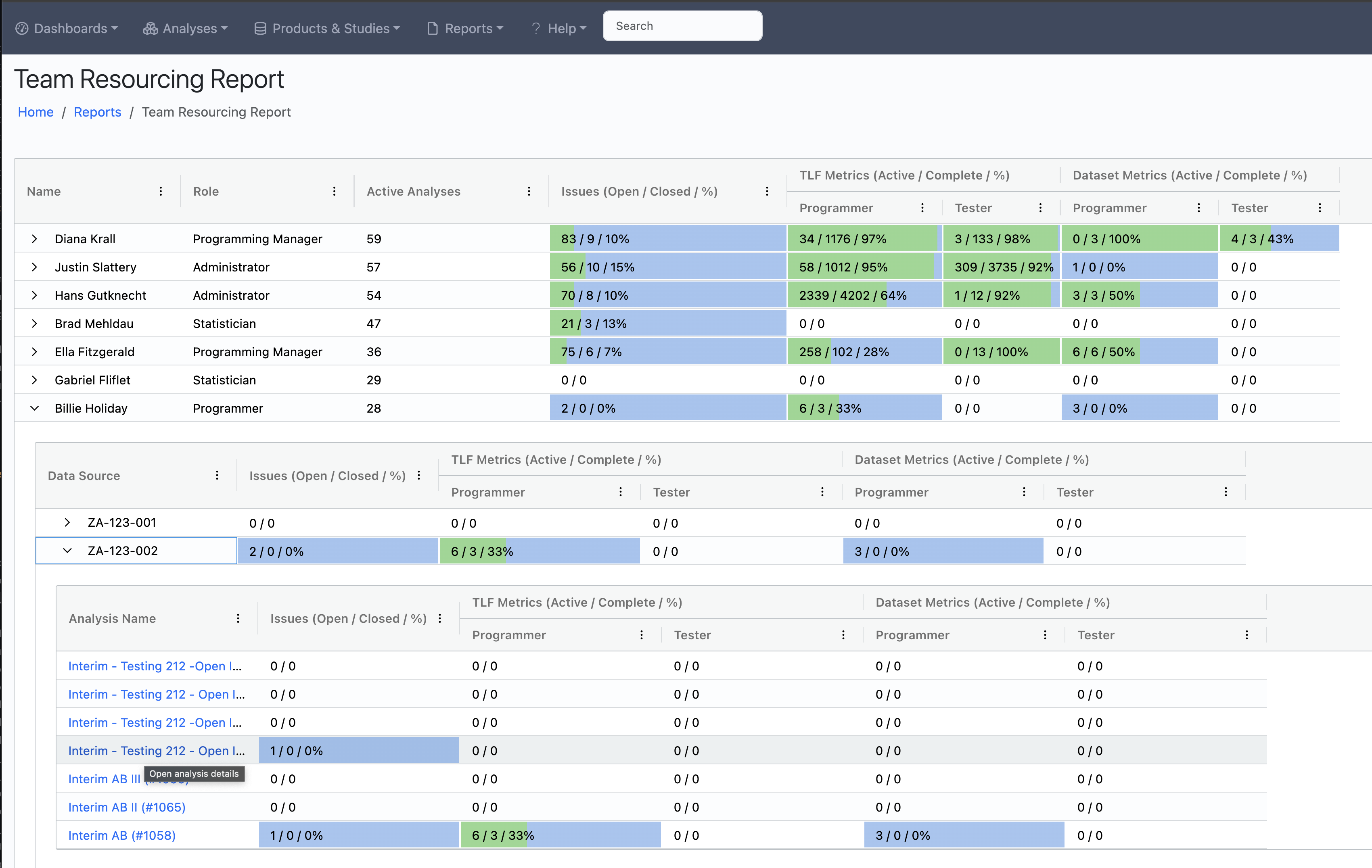 Team Resourcing Report